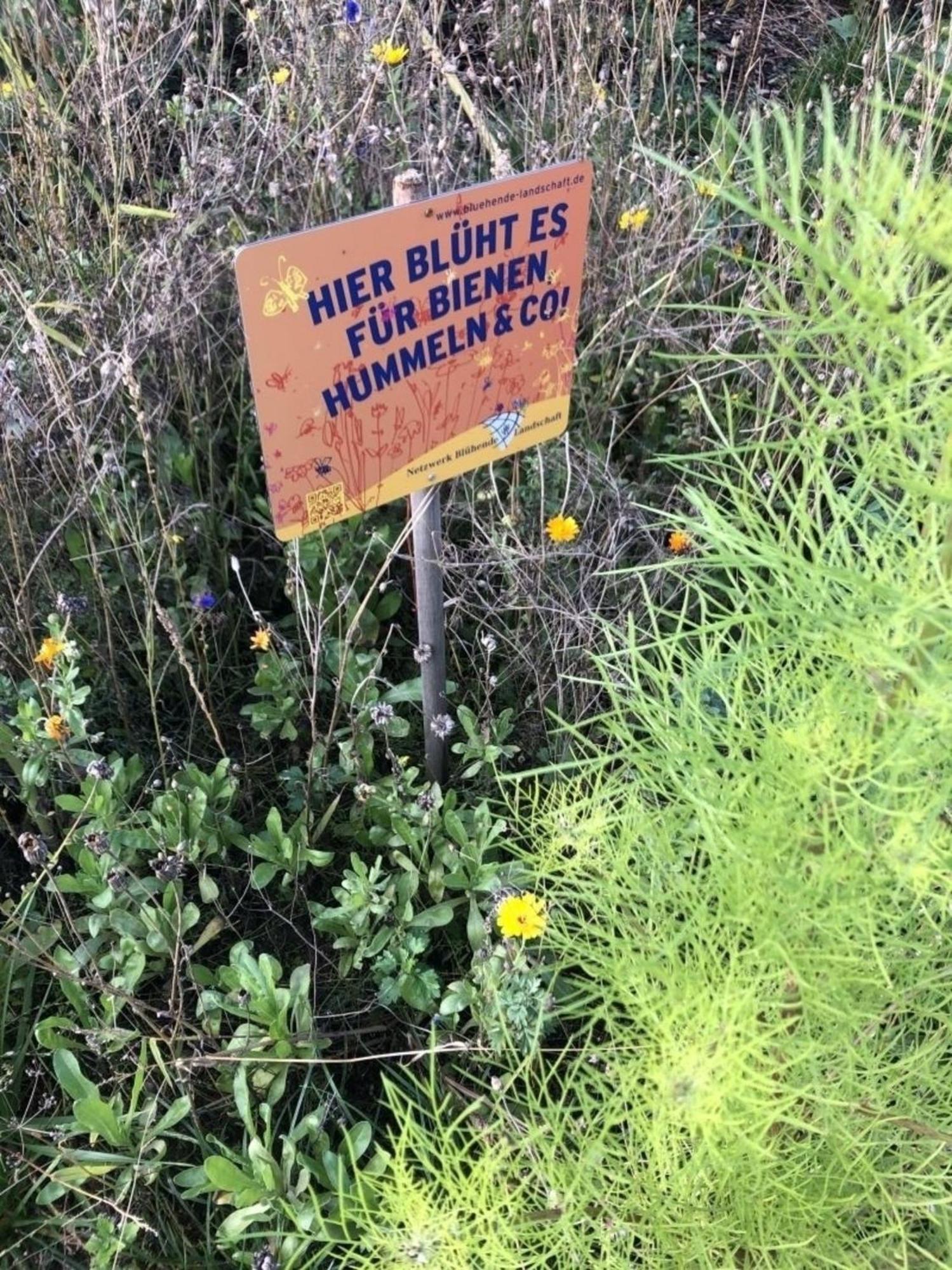 Meeresperle 4 Meerjungfrau Klutz Zewnętrze zdjęcie